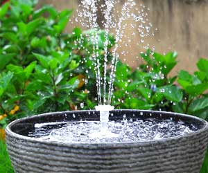 Solar Fountains for Bird Baths