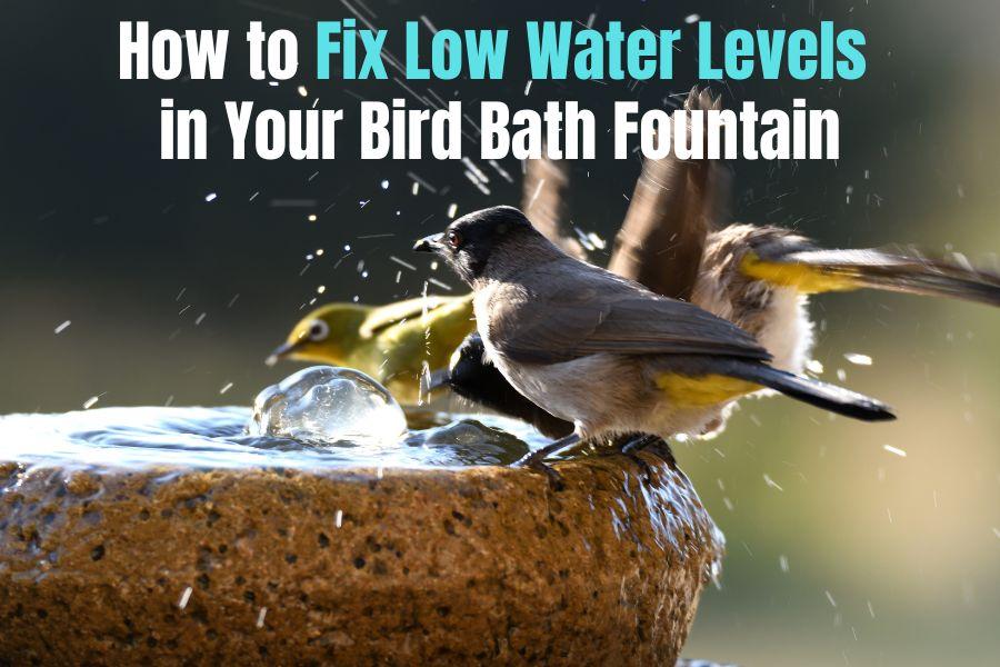 How to Fix Low Water Levels in Your Bird Bath Fountain