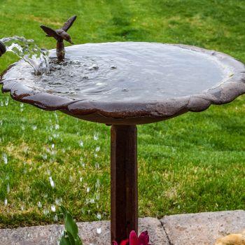 Refilling Bird Bath with Water