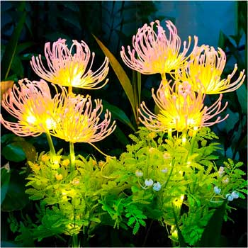 Solar Pond Flowers to Illuminate Garden Water Features at Night, Low Maintenance